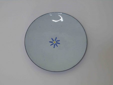 pale blue enamelled bowl