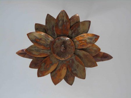 Helianthus from above